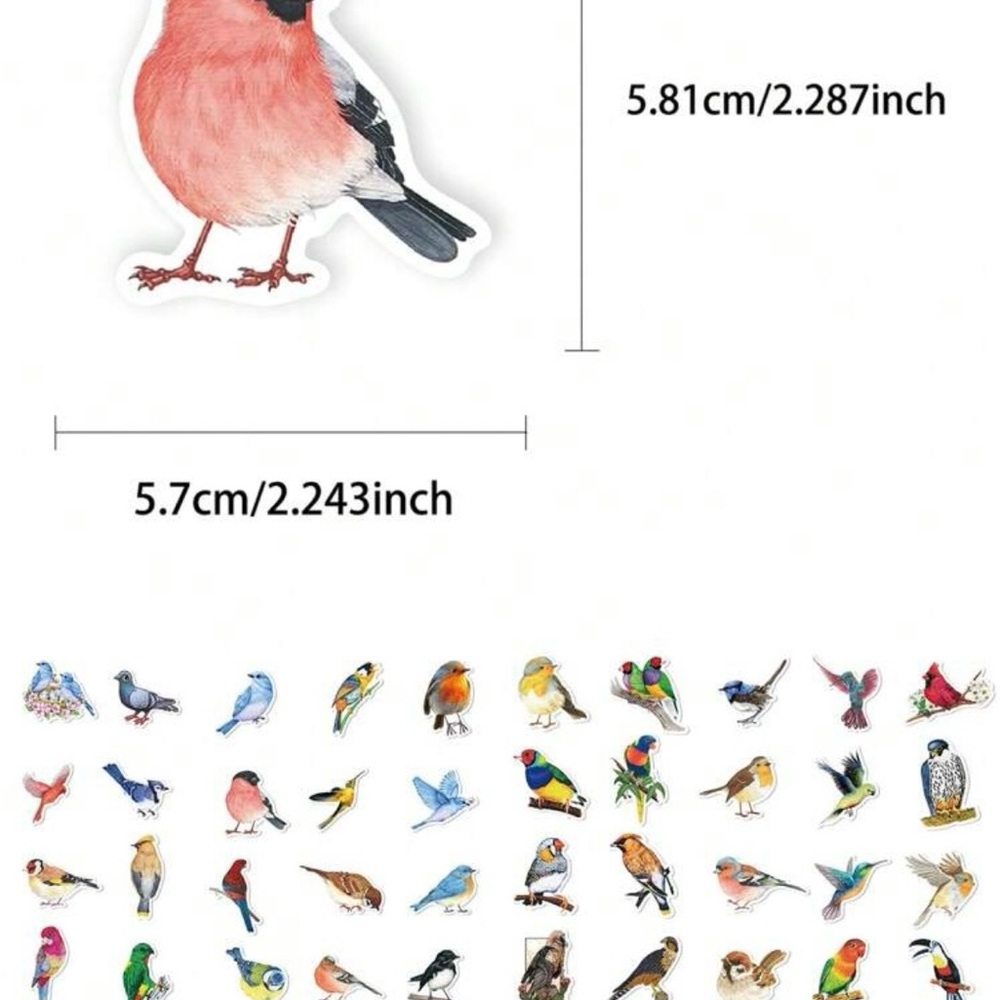 50 Colorful Bird Stickers - Picture 3 of 9